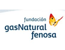 gasnatural