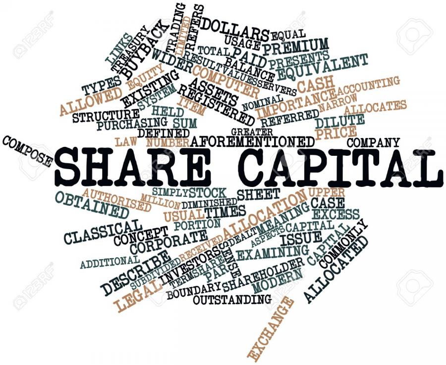â€œThe requirement of a minimum share capital to set up a company is an ...