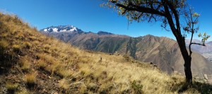 blog5